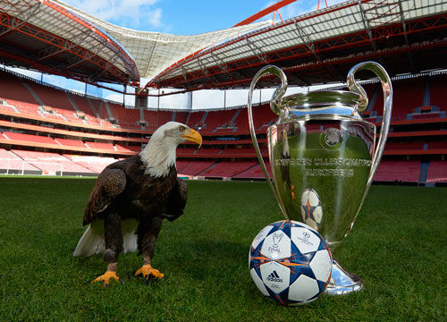 蒙特拉：很明显南美世预赛赛制中晋级比淘汰要容易得多（蒙特拉：南美区世预赛出线明显比被淘汰更容易）